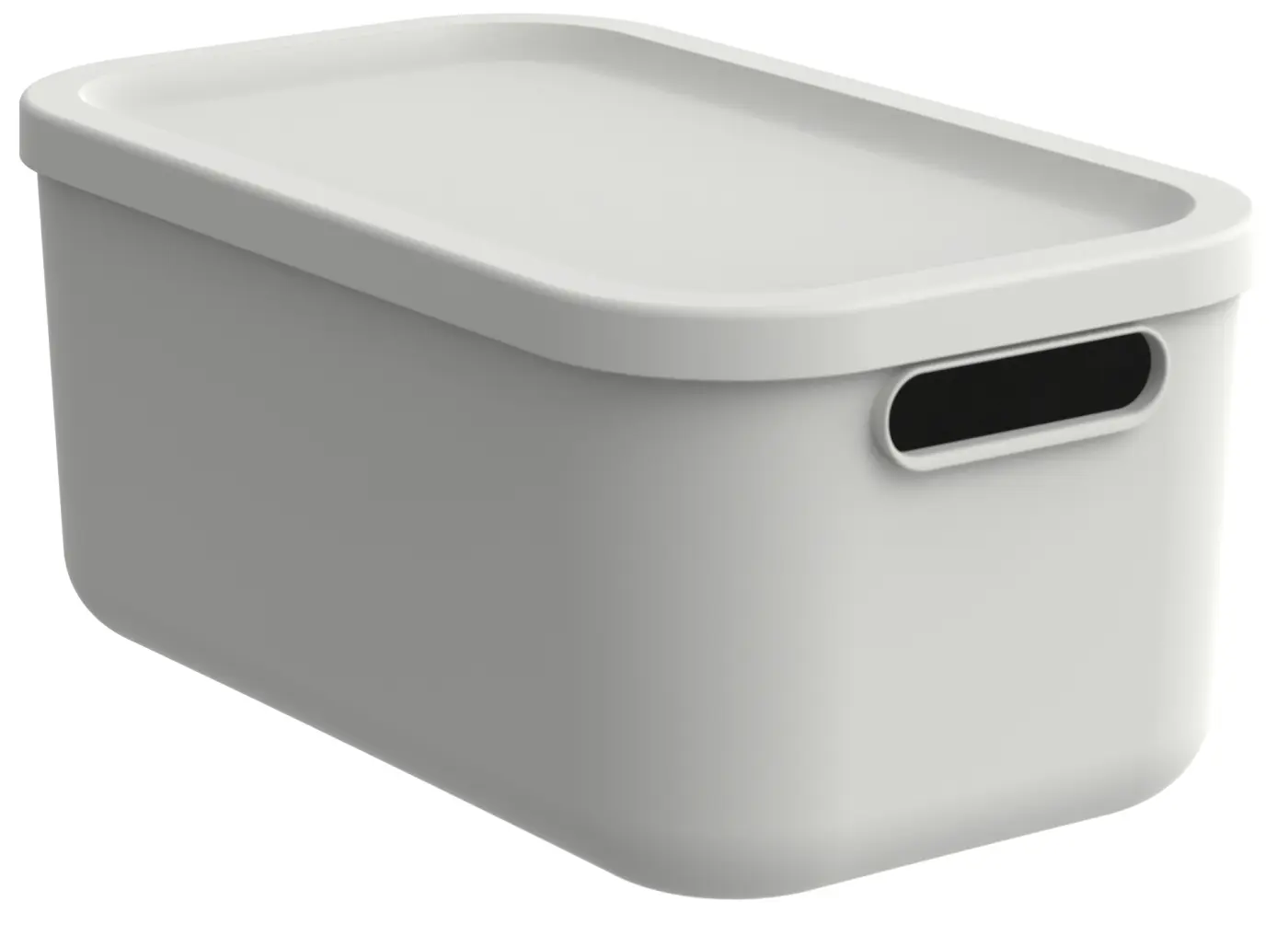 Rotho  Box 12 l Mistletoe white