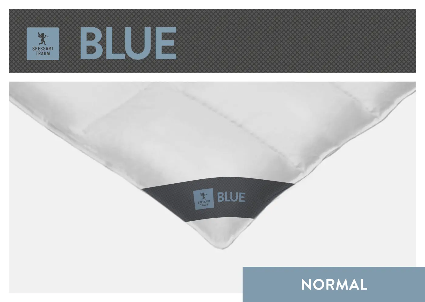 Spessarttraum Daunendecke Blue, 155x 220cm, 0,88 Gramm weiß