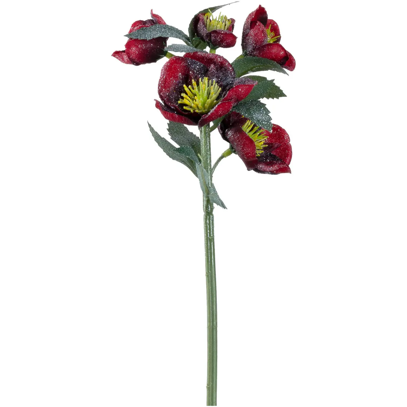 Leonardo Blume NATALE dunkelrot 29 cm