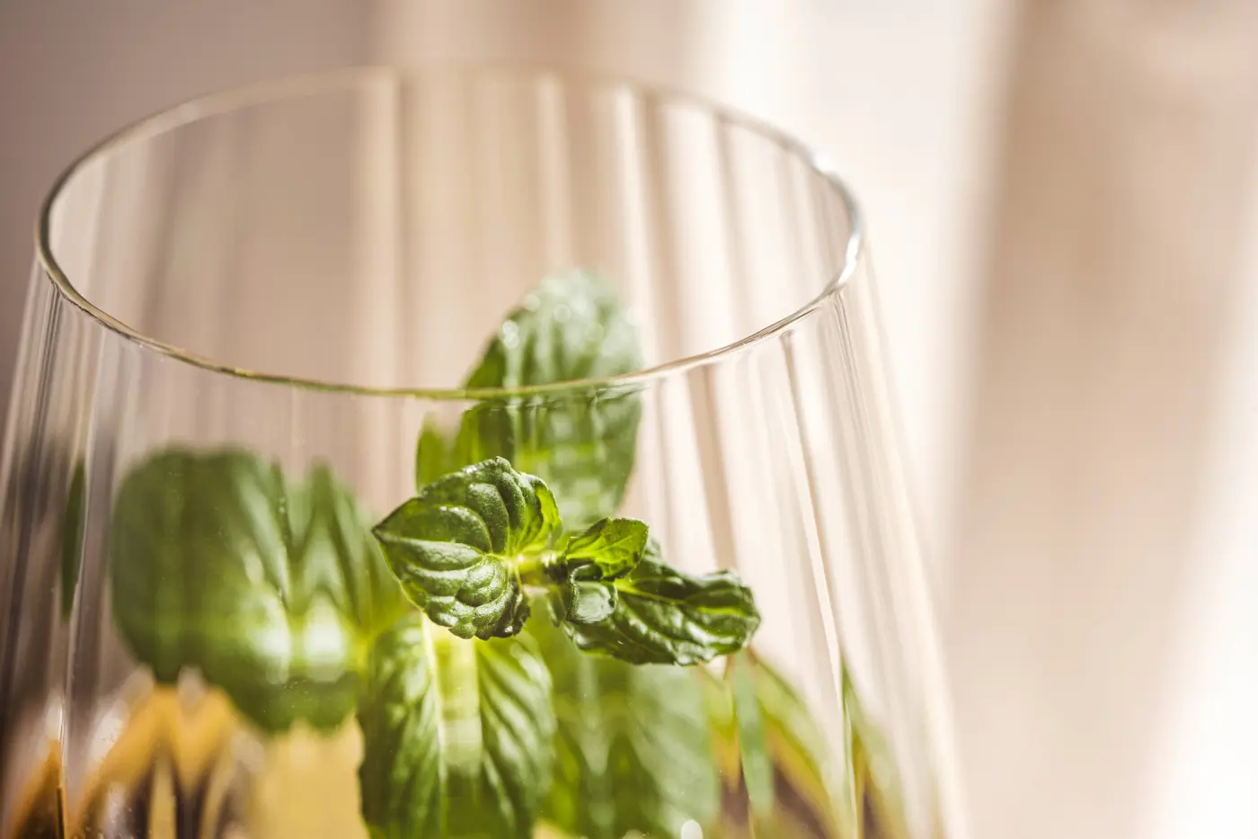 Leonardo Weißweinglas PAOLO klar 250 ml 22 cm