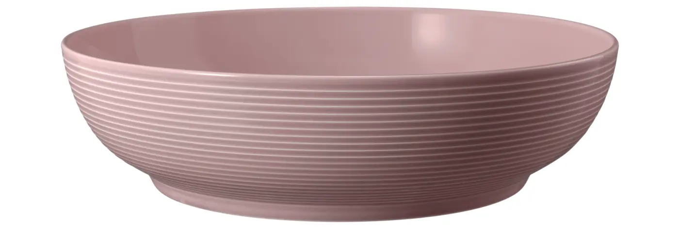 Seltmann Weiden  Foodbowl Beat 00003 Altrosa Rot