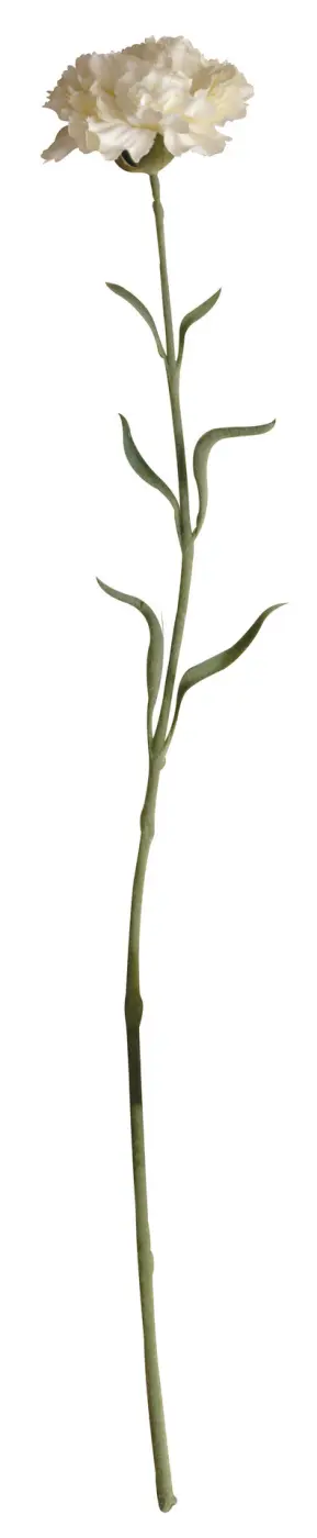 ASA Nelke deko weiß matt L. 62 cm