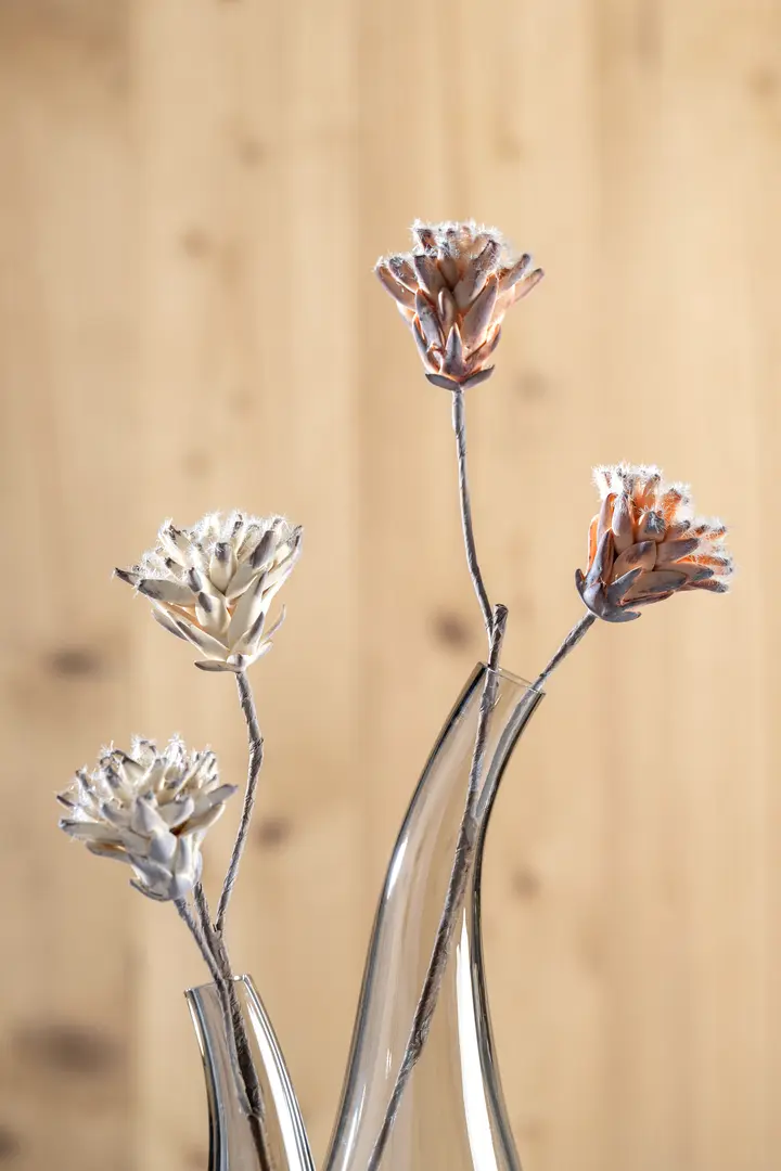 Leonardo Blume FIORE mehrfarbig 40 cm