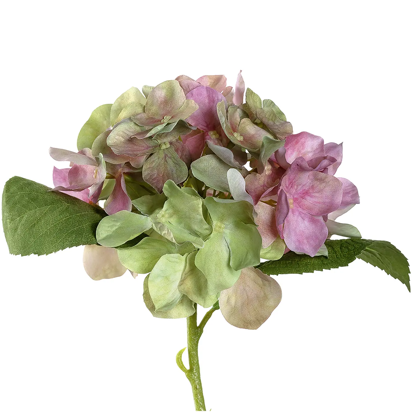 Leonardo Hortensie Poesia pink 18cm