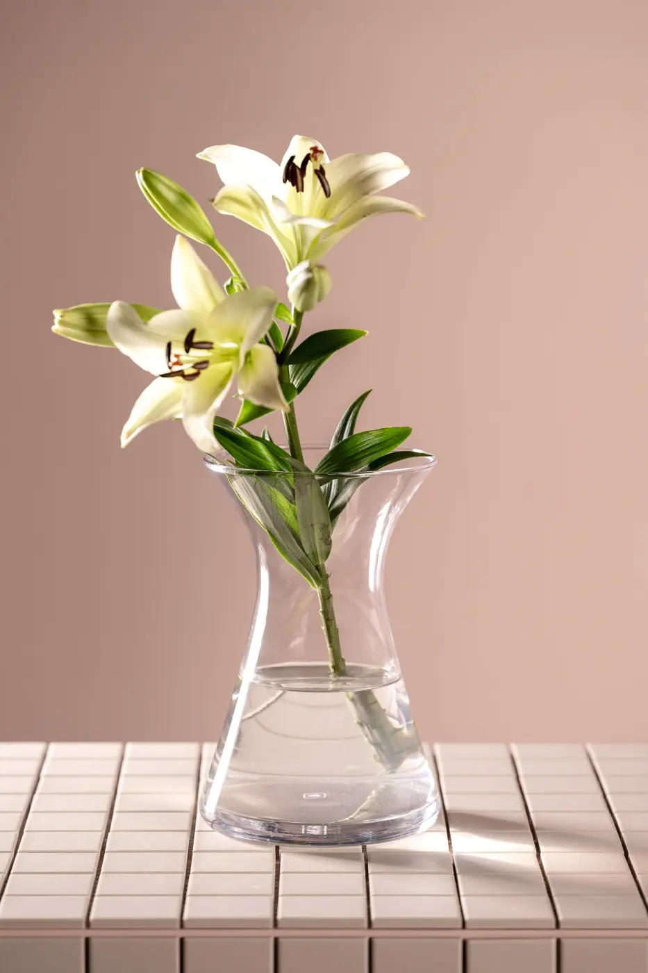 Leonardo Vase 22 Gia transparent