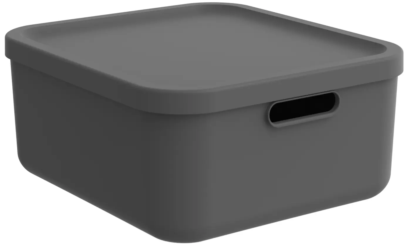 Rotho  Box 20 l Anthrazit