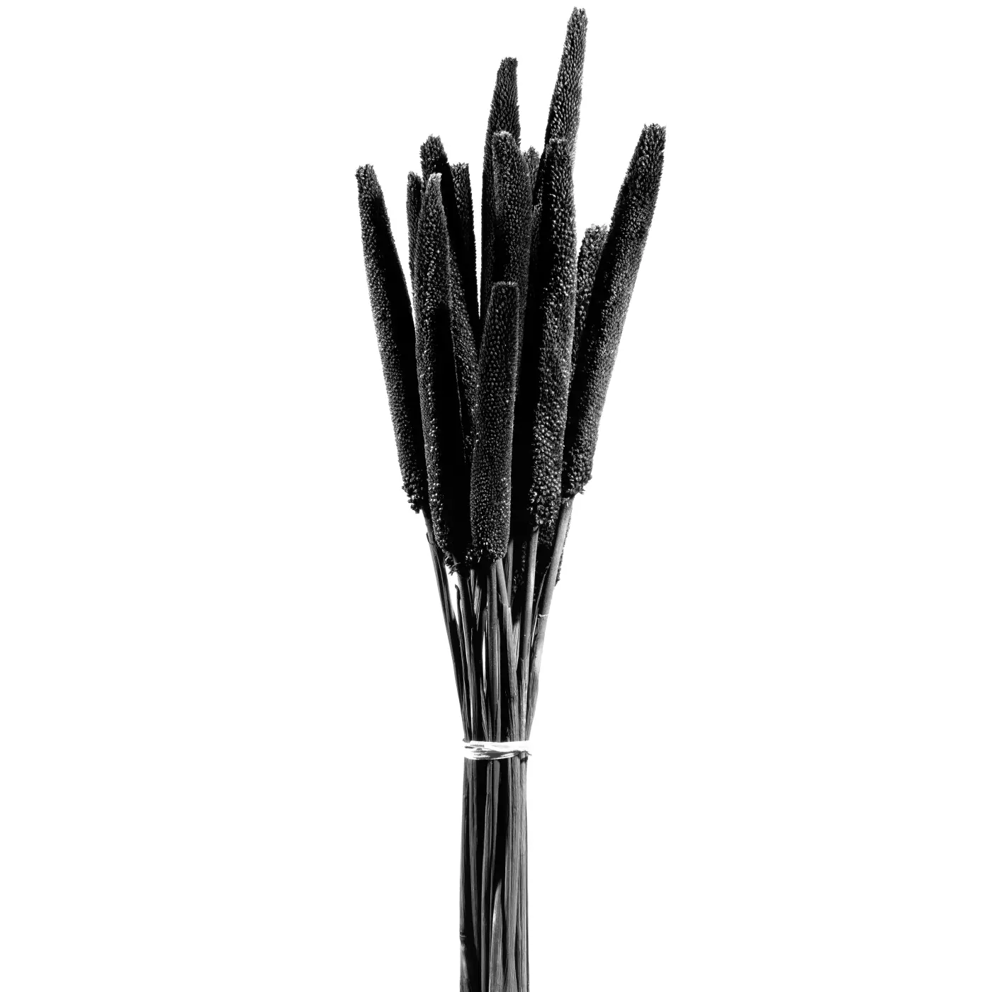 Leonardo Bund Babala 15Stk.,60cm schwarz