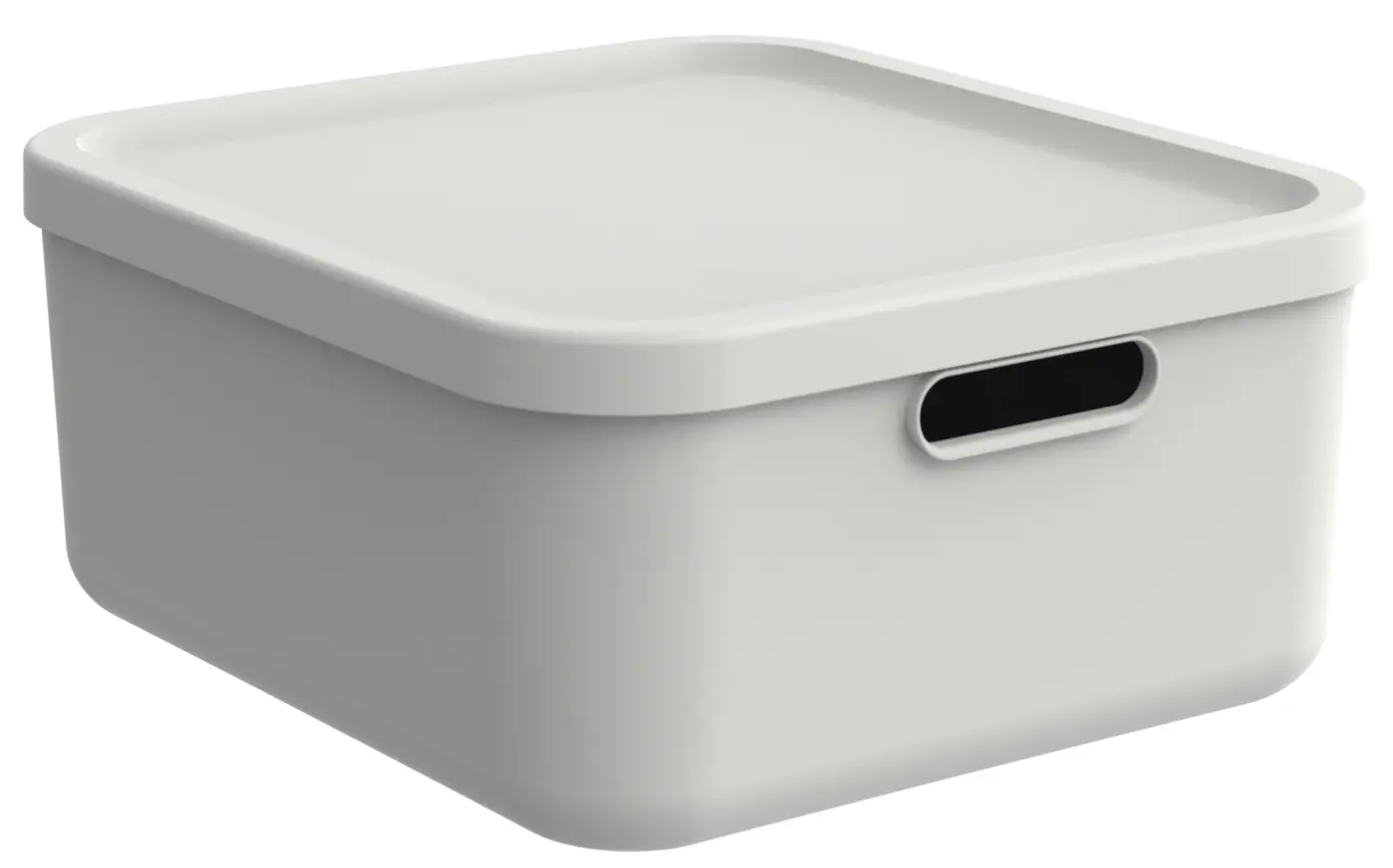 Rotho  Box 20 l Mistletoe white