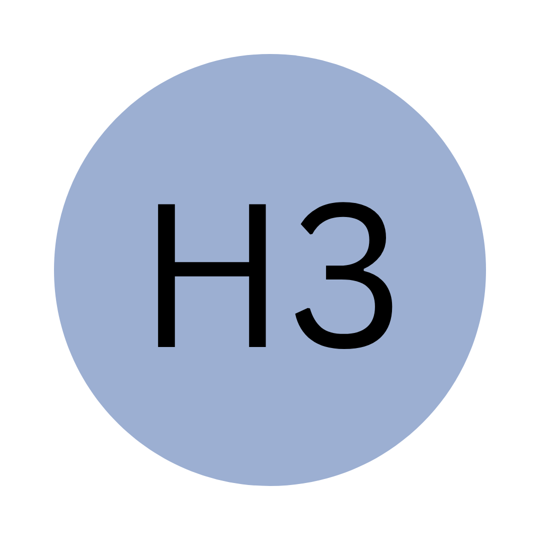 H3
