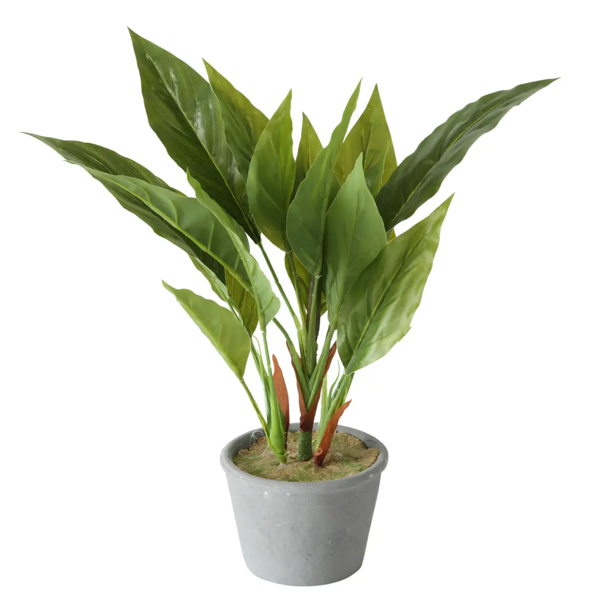 Boltze  Kunstblume Monstera Grau,Grün
