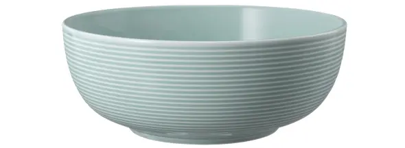 Seltmann-Weiden-Foodbowl-Beat-757241-61284___001.jpg