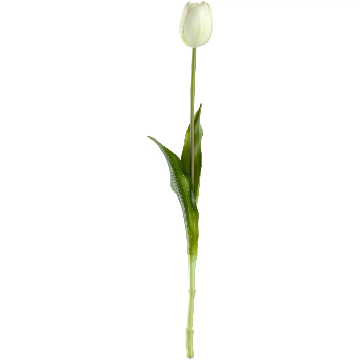 Leonardo Tulpe FIORE weiß 40 cm