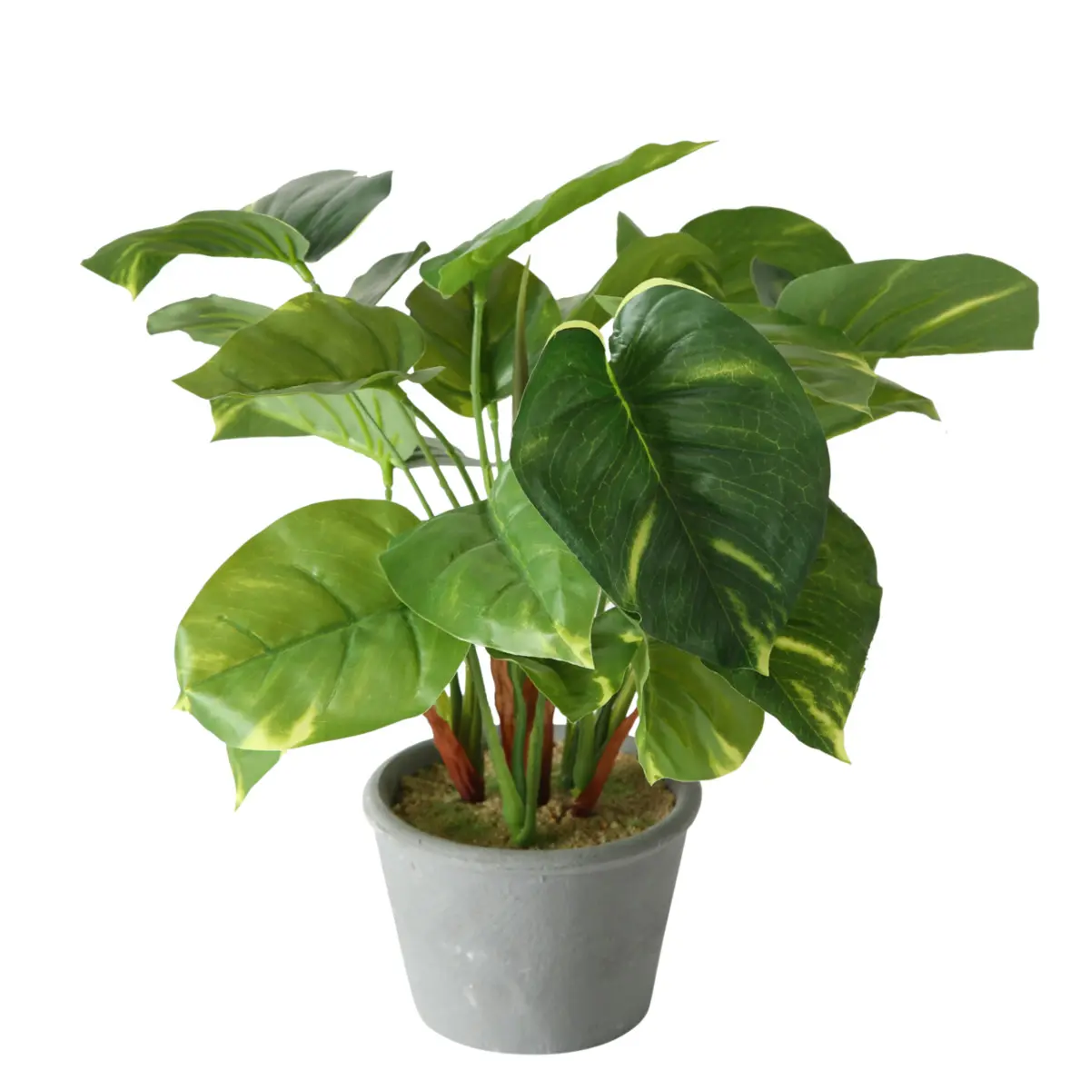 Boltze  Kunstblume Monstera Grau,Grün