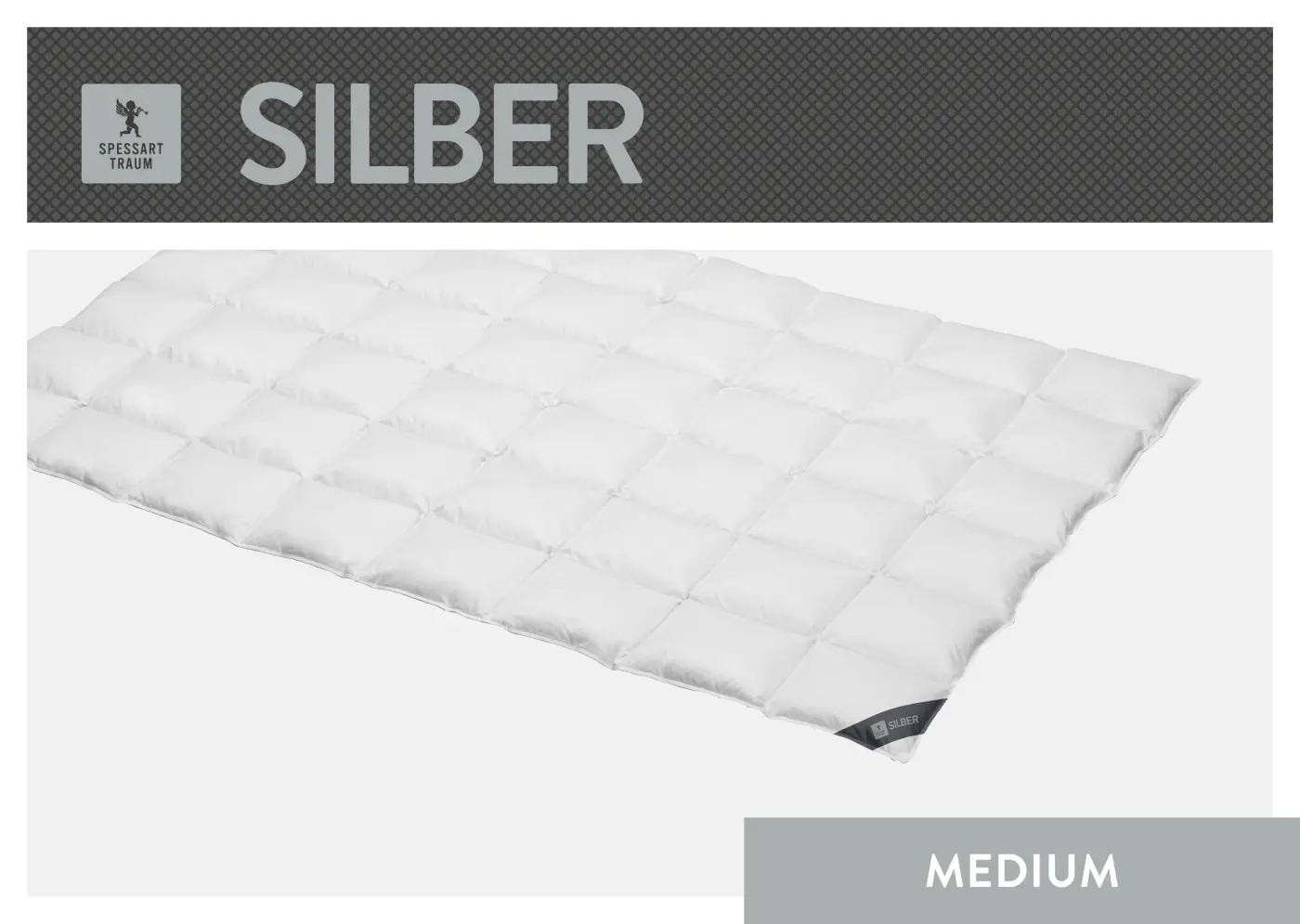 Spessarttraum Daunendecke Silber, 155x 220cm, 0,6 Gramm weiß