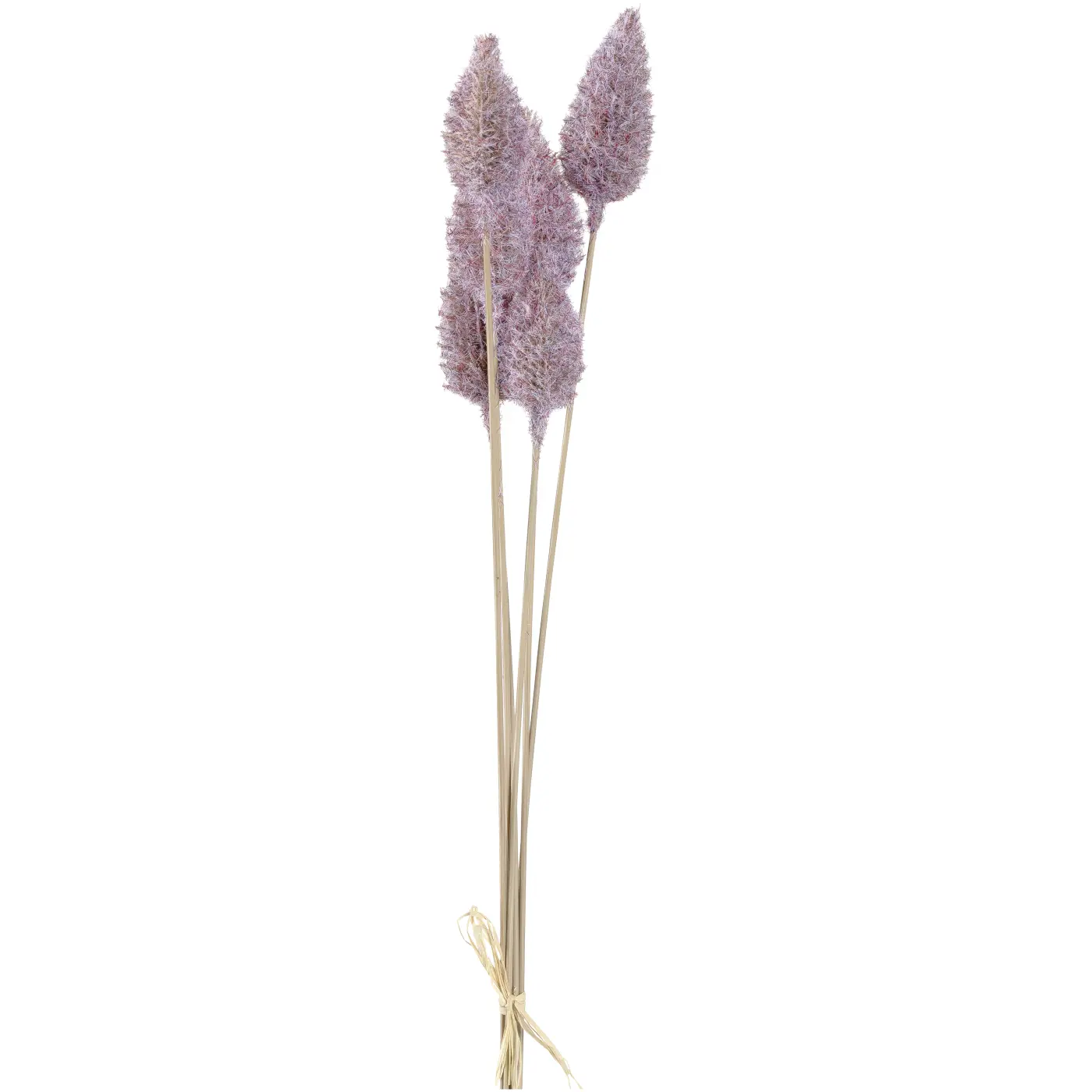 Leonardo Sea Holly lila natur 65 cm