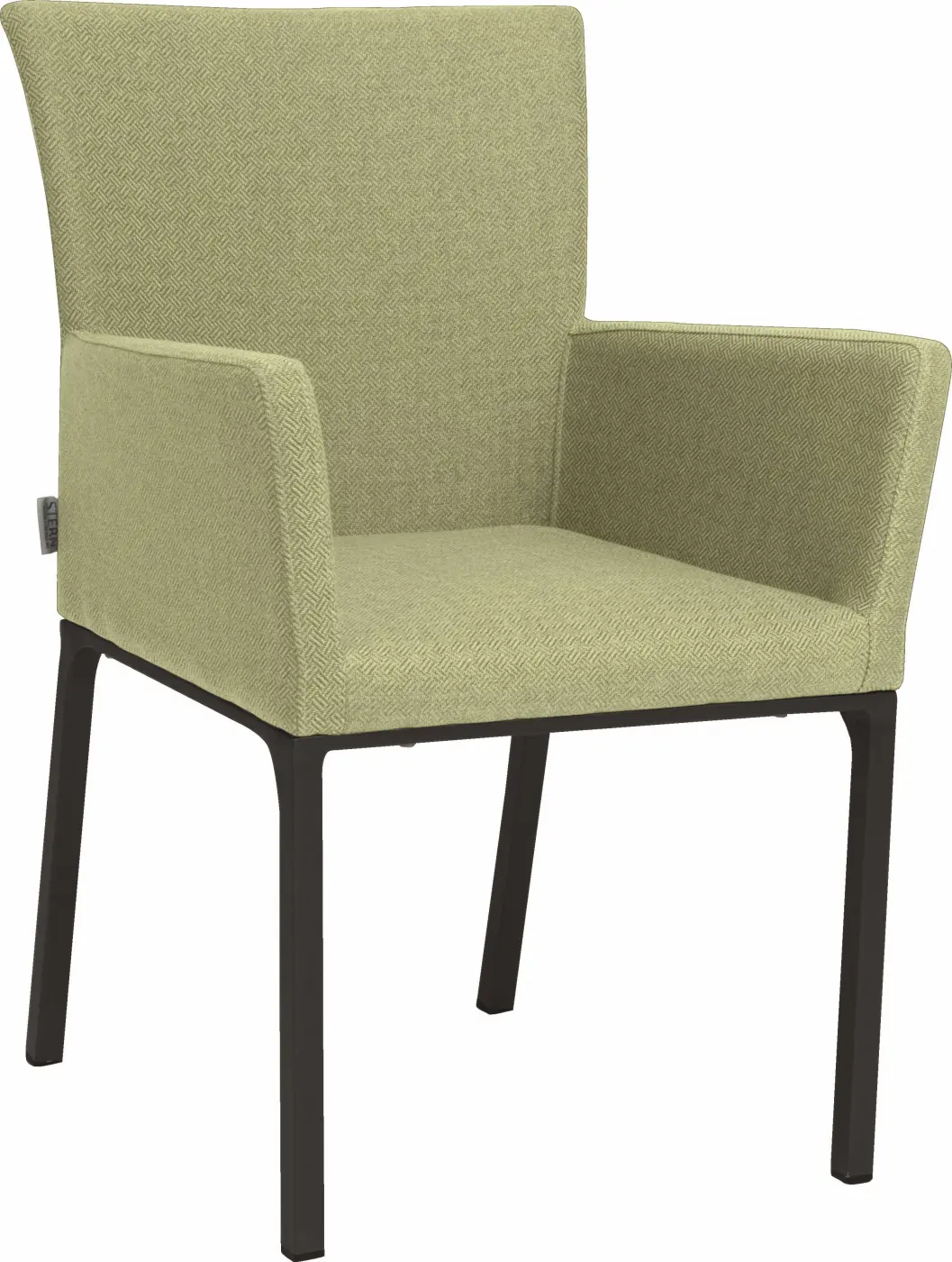 Stern Dining-Sessel Artus hellgrün