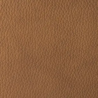 Himolla  Easy Swing 7355 Leder Honig