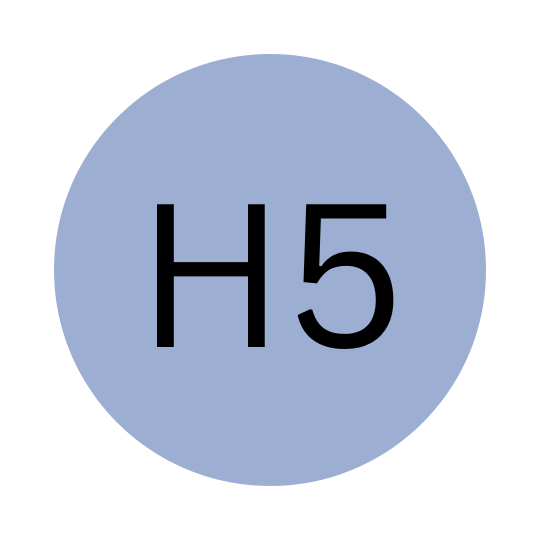 H5