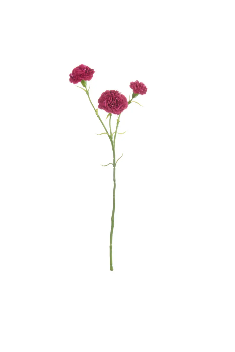 ASA Nelke deko lila L. 61 cm