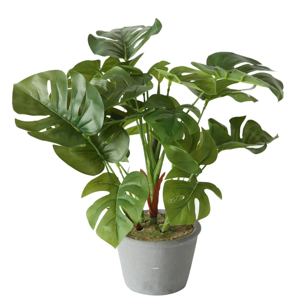 Boltze  Kunstblume Monstera Grau,Grün