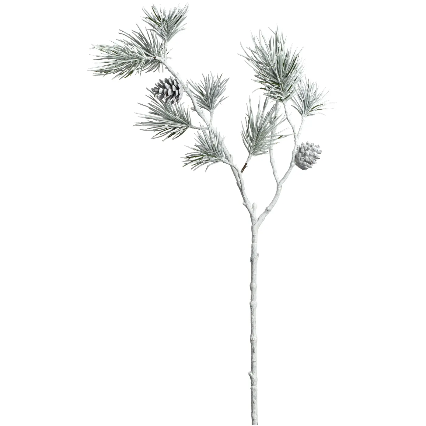 Leonardo Dekozweig Tanne weiß geeist
