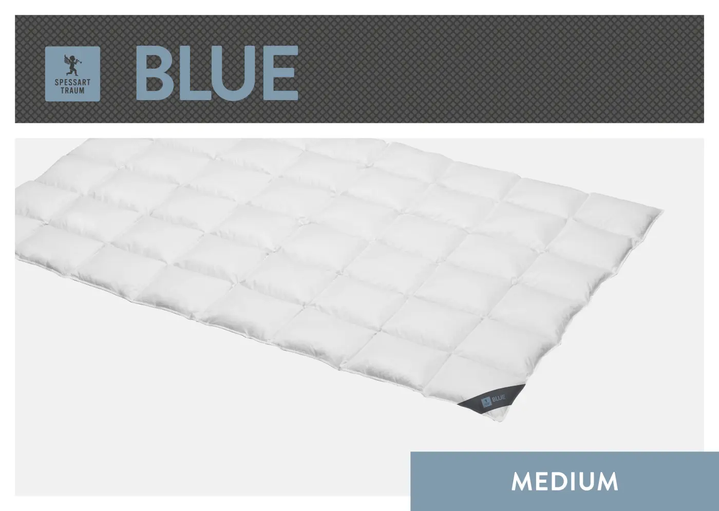Spessarttraum Daunendecke Blue, 135 x 200cm, 0,7 Gramm weiß