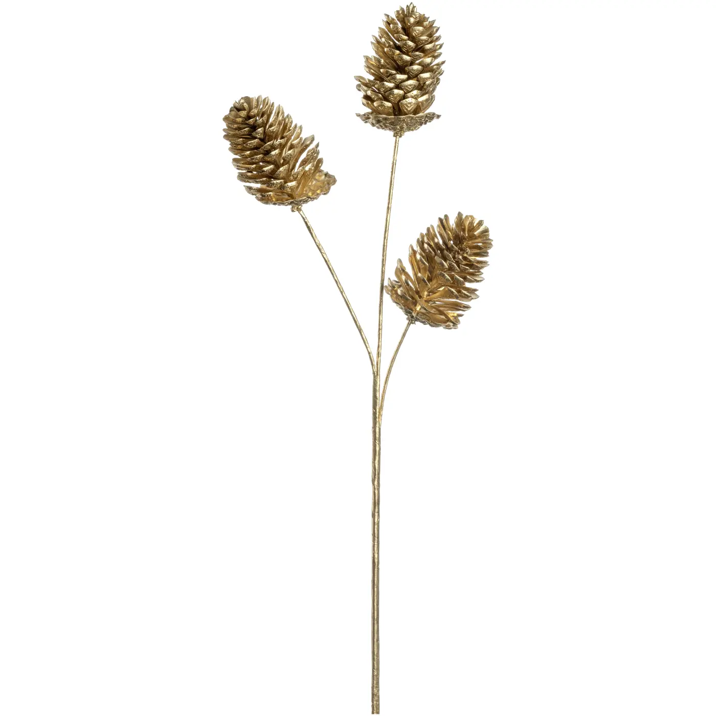 Leonardo Blume CAPANNA gold 61 cm