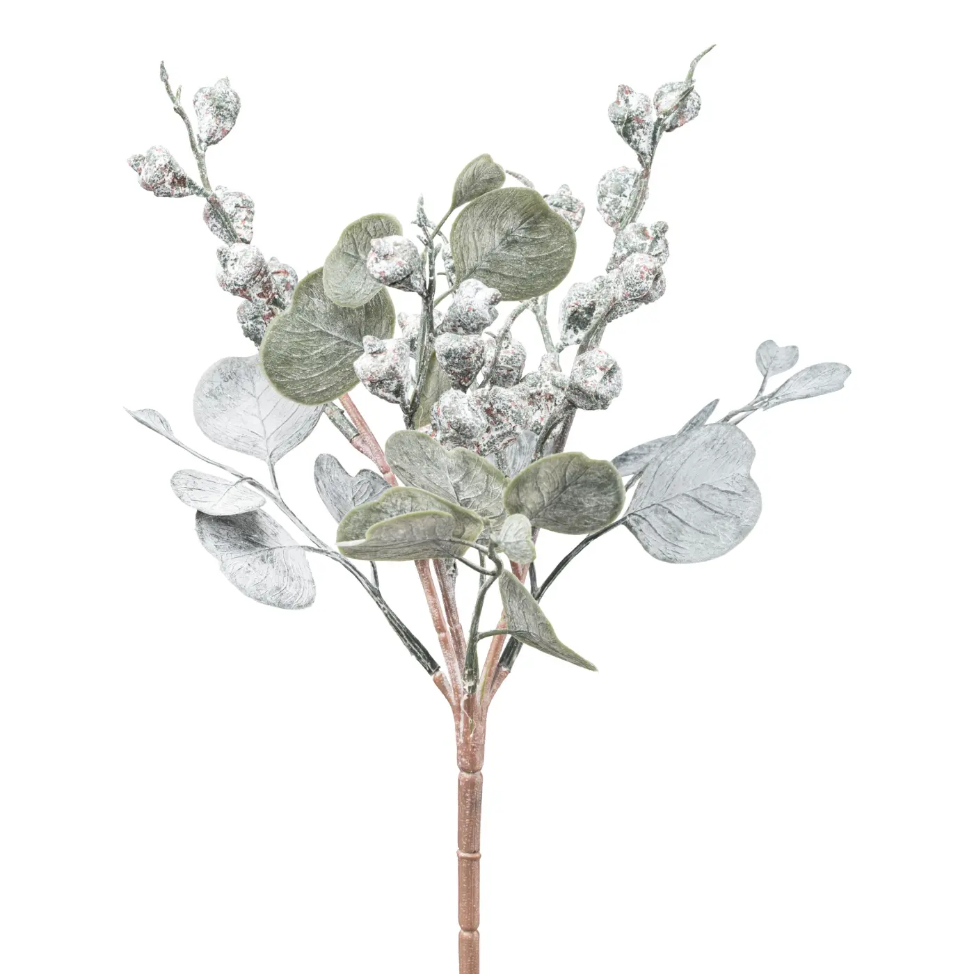 Gasper Eucalyptusbusch mit Früchten  28 cm  gra