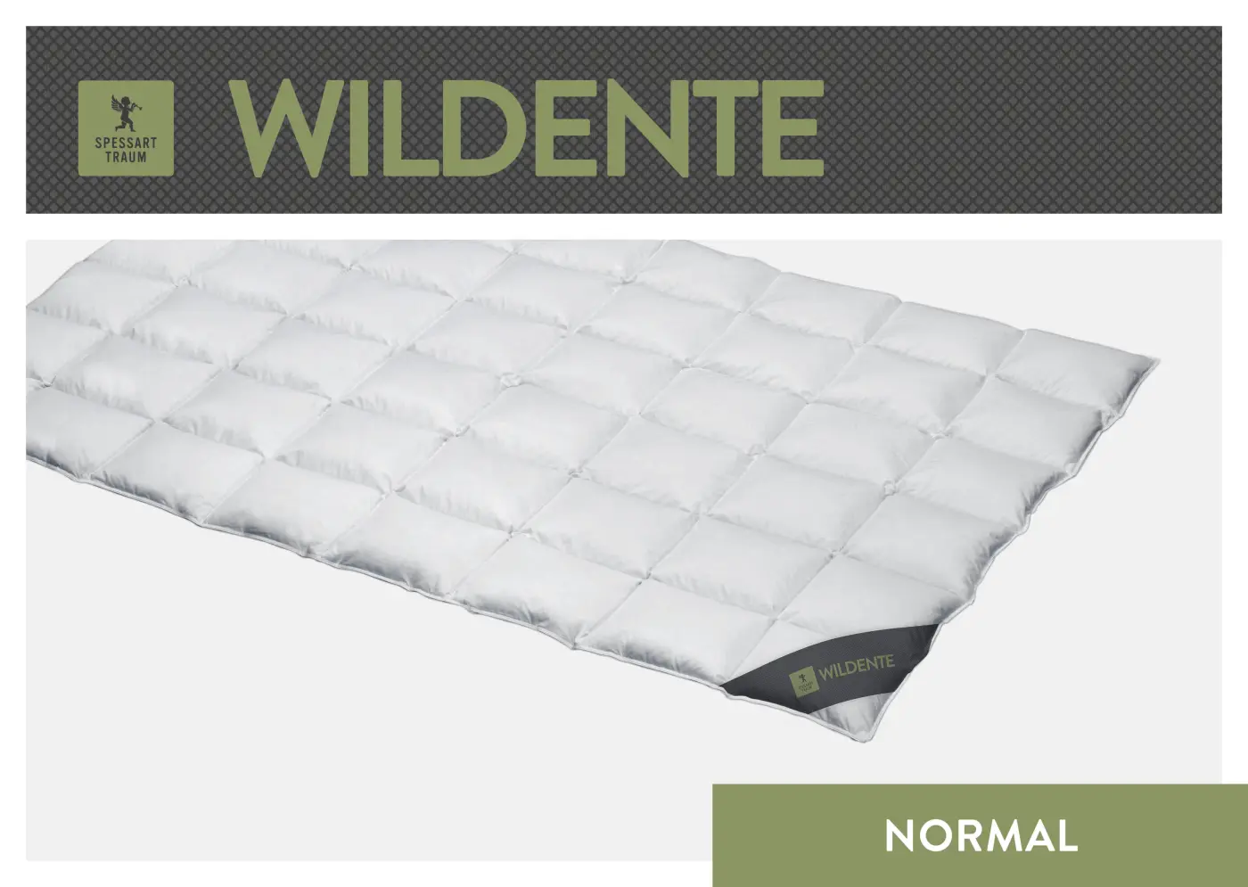 Spessarttraum Daunendecke Wildente, 155x220, 0,82 Gramm silber