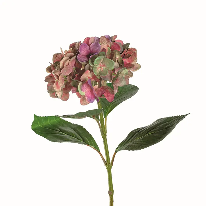 Leonardo Hortensie Poesia pink 54cm