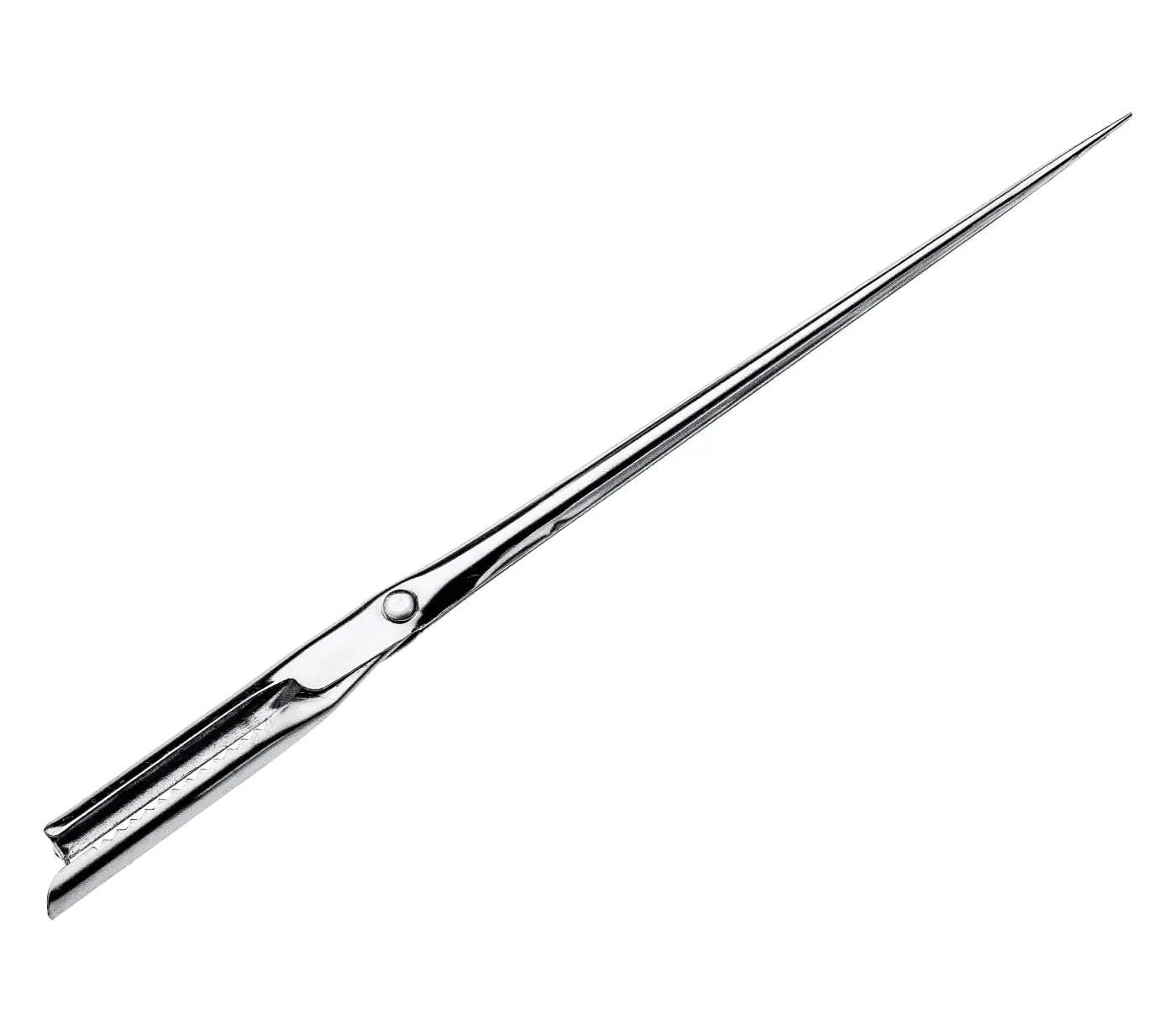 Küchenprofi  Spicknadel Edelstahl