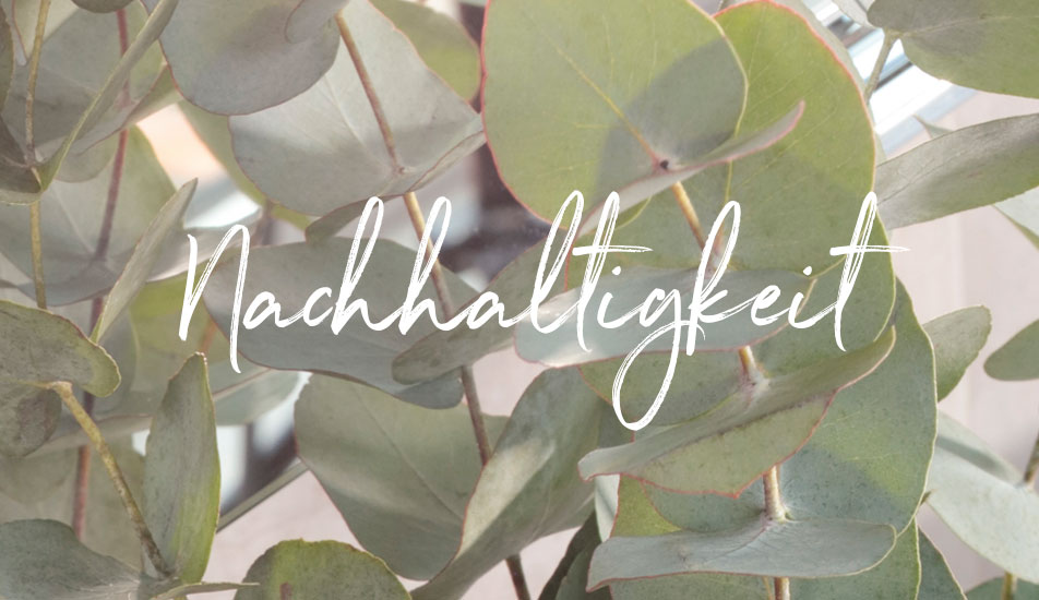 moebel-berta-cawoe-nachhaltigkeit-banner moebel-berta-cawoe-nachhaltigkeit-banner