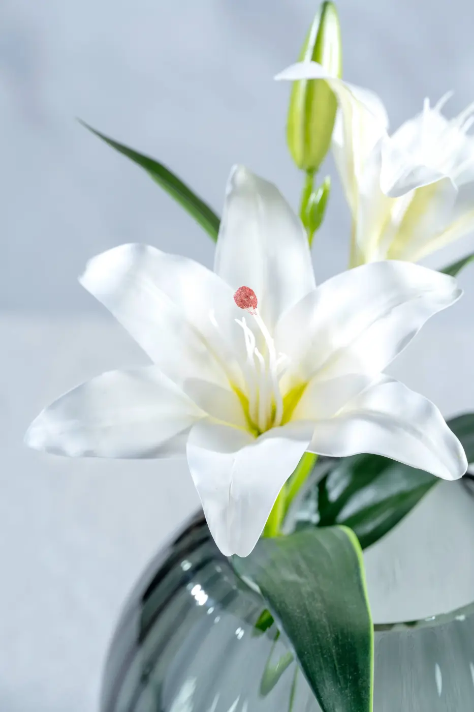 Leonardo Blume FIORE weiß 38 cm