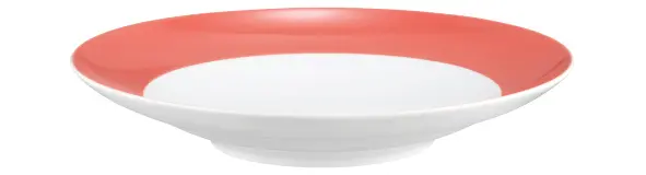 Seltmann Weiden Suppenteller Liberty Pure Colors  flamingo red 23,5 cm