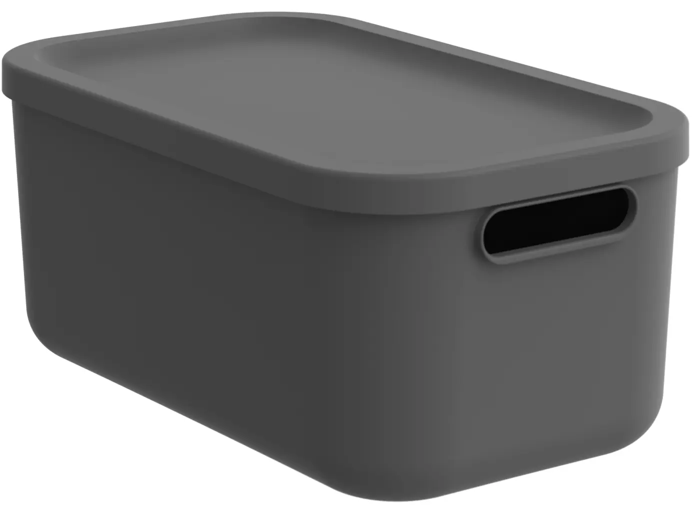 Rotho  Box 12 l Anthrazit