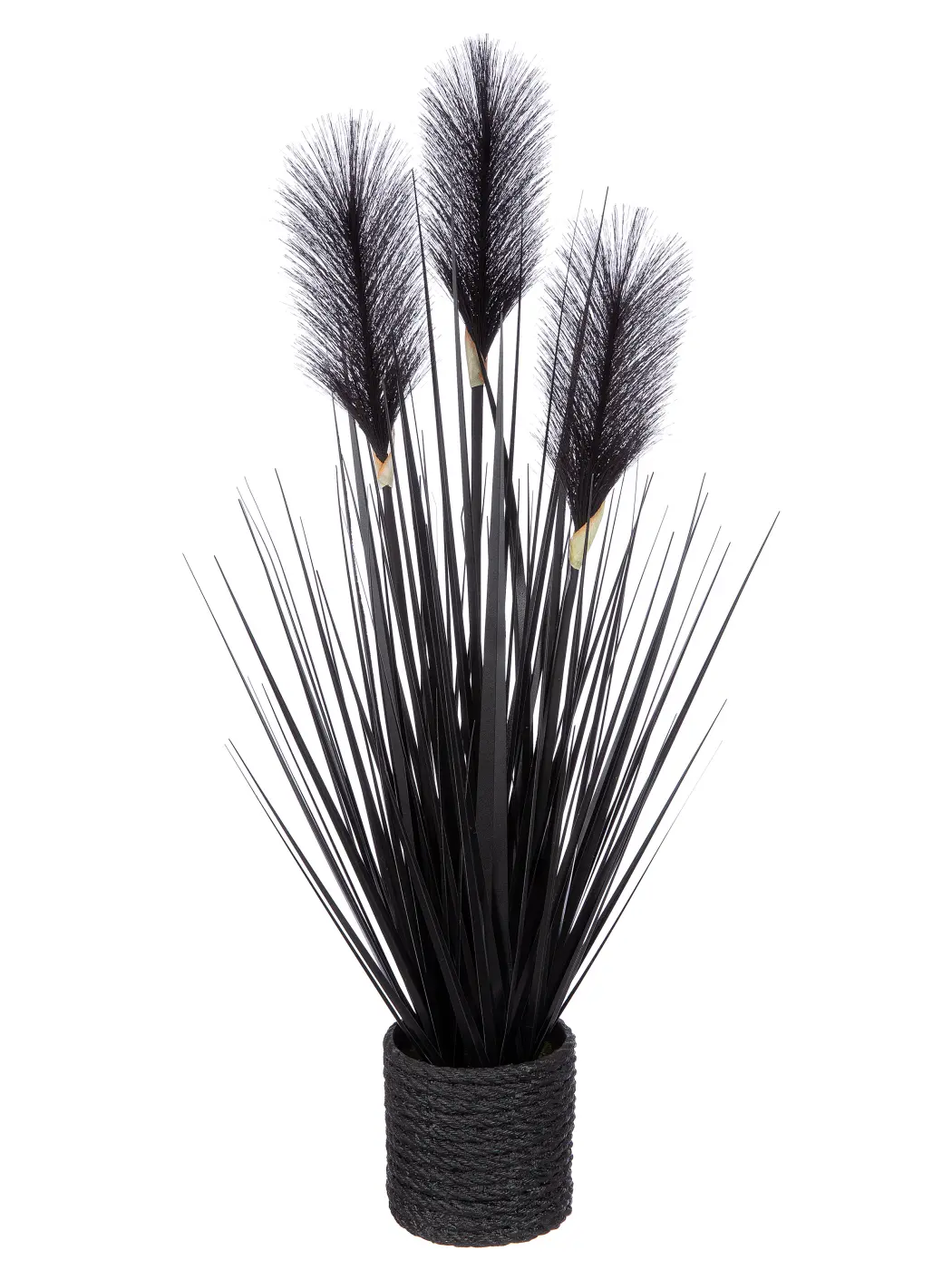 Gilde Pampasgras getopft, schwarz 60 cm
