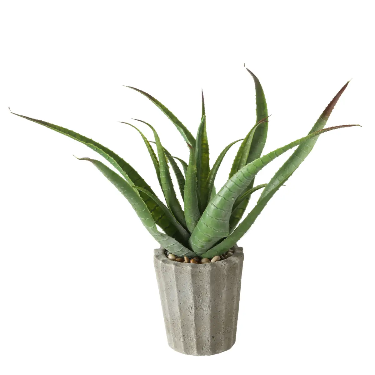 Boltze  Kunstpflanze Agave Grau,Grün
