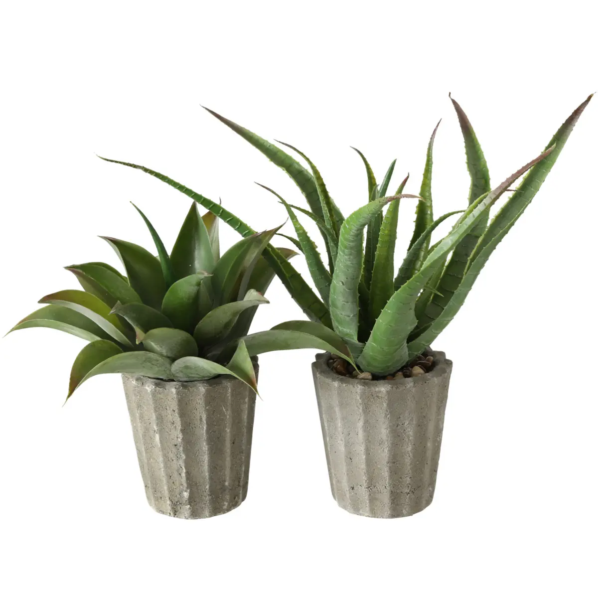 Boltze  Kunstpflanze Agave Grau,Grün