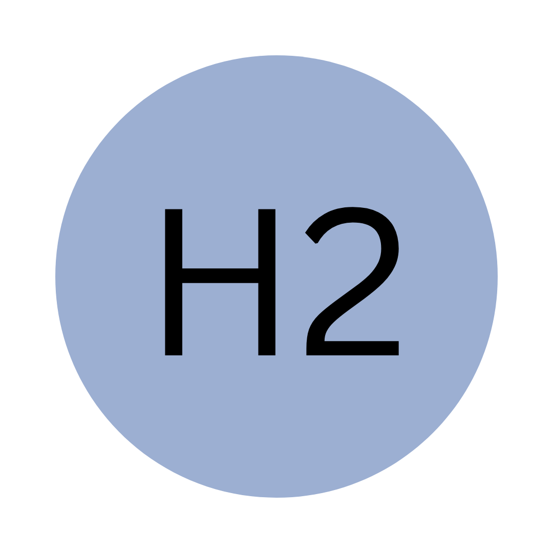 H2