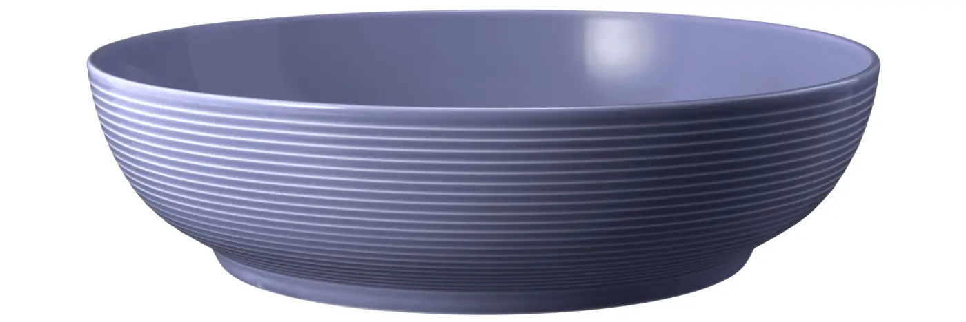 Seltmann Weiden  Foodbowl Beat 00003 Fliederblau 