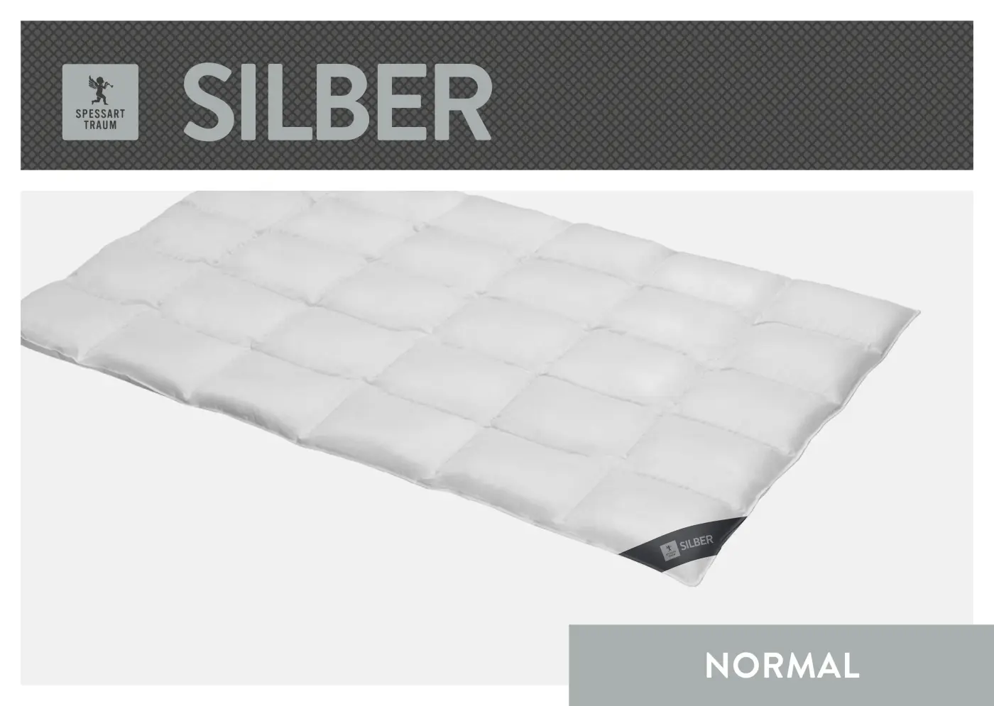 Spessarttraum Daunendecke Silber, 155x 220cm, 0,79 Gramm weiß