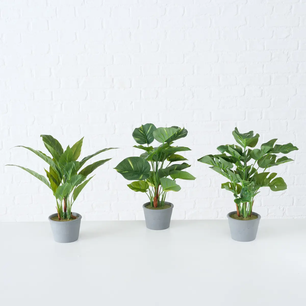 Boltze  Kunstblume Monstera Grau,Grün