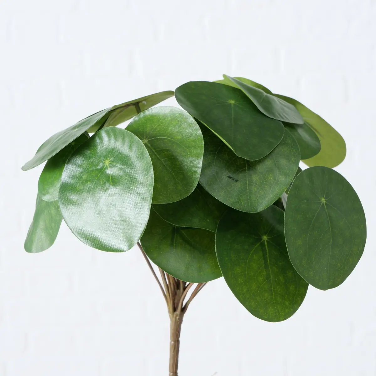Boltze Kunstpflanze Pilea 550 Grün, Kunststoff