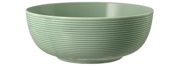 Seltmann-Weiden-Foodbowl-Beat-757383-61286___001.jpg
